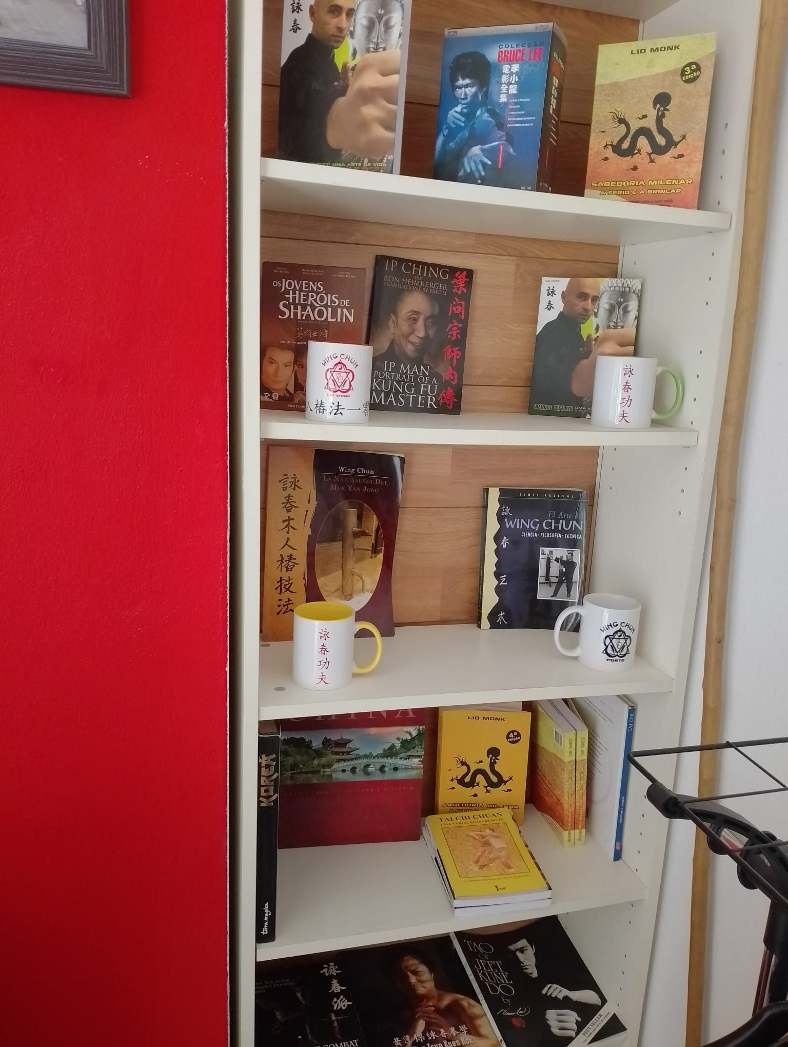 Treino no Muk Yan Jong, o manequim de madeira do Wing Chun